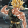 avatar of Tadokari