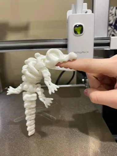 Articulated Skeleton Crocodile - Toys - PLA - 3D printed product - фото 21