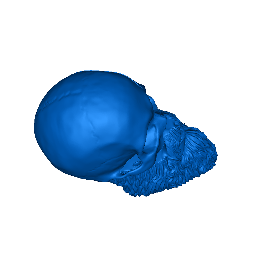 Kratos Skull