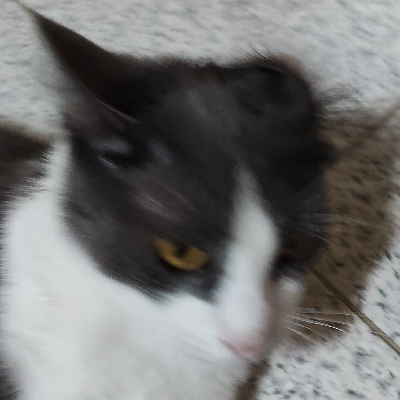 avatar of jasrocha