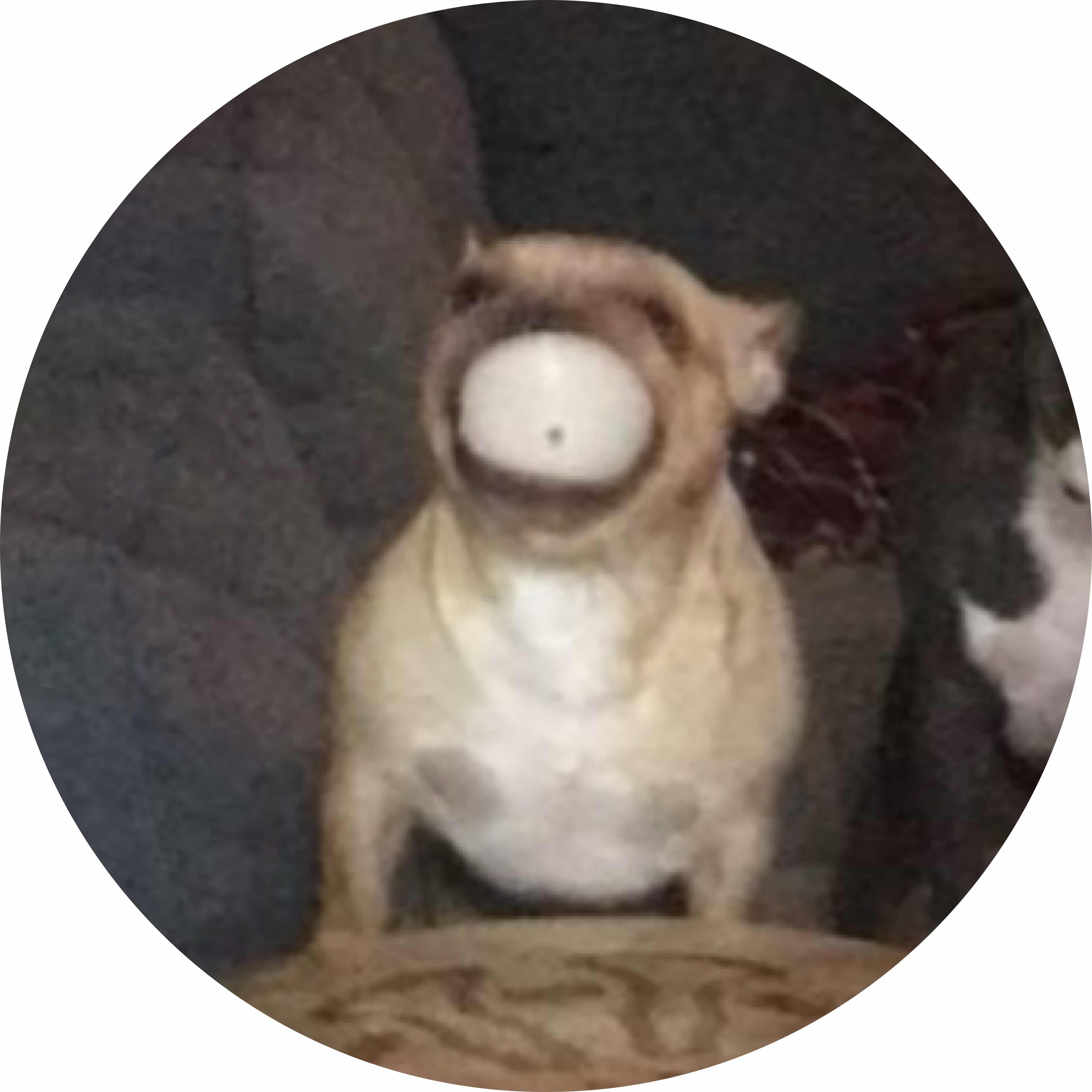 avatar of Mrbongo