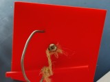 Scary spider box -3