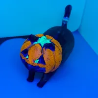 Halloween Print & Paint - Pumpkin Cat-2