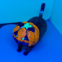 Halloween Print & Paint - Pumpkin Cat-2