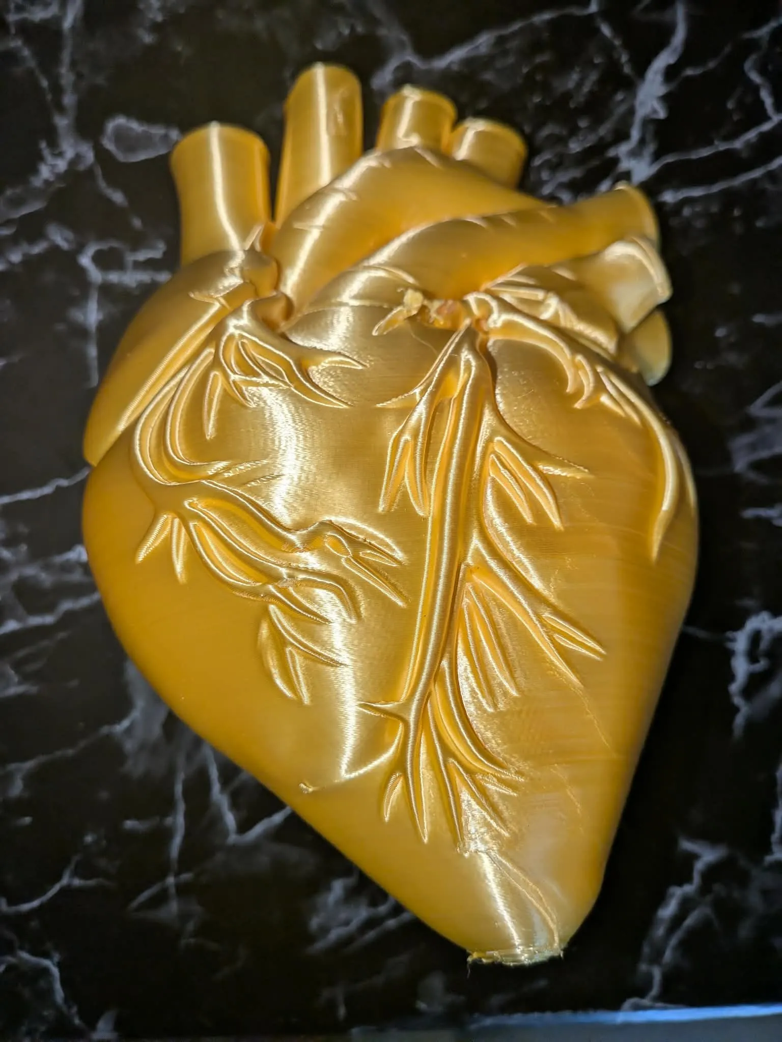 Anatomical Human Heart Model STL-4