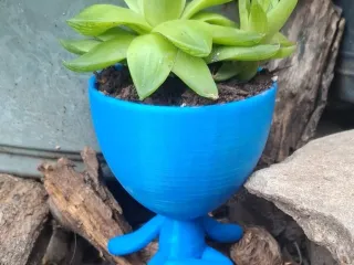 Macetas Robert Plants
