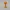 Holy Chalice Topper - Decoration