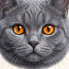 avatar of Lord Tiger