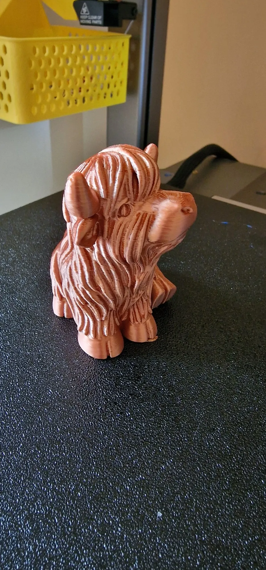 Chonky Highland Cow – Shaggy Horned Cutie-0