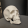 avatar of Thomsoh