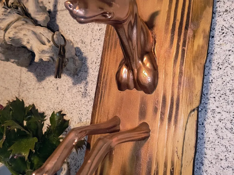 Galgo perrro