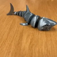 Shark-1