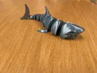 Shark-1