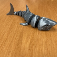 Shark-1