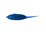 sea pancake-0