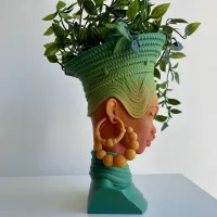 AFRICA QUEEN FLOWER POT-2