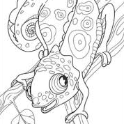 avatar of oruoss