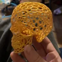 Voronoi-style Skull with no supports-1
