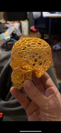 Voronoi-style Skull with no supports-1
