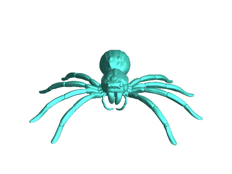 BigKev wolf spider
