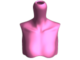smartdollbust-0