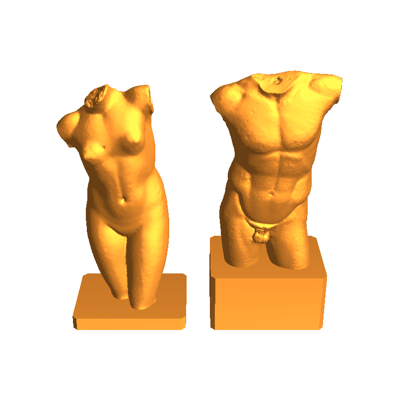 Male torso body