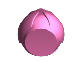 vaso tulipa 2-0
