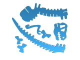 T. rex puzzle-1