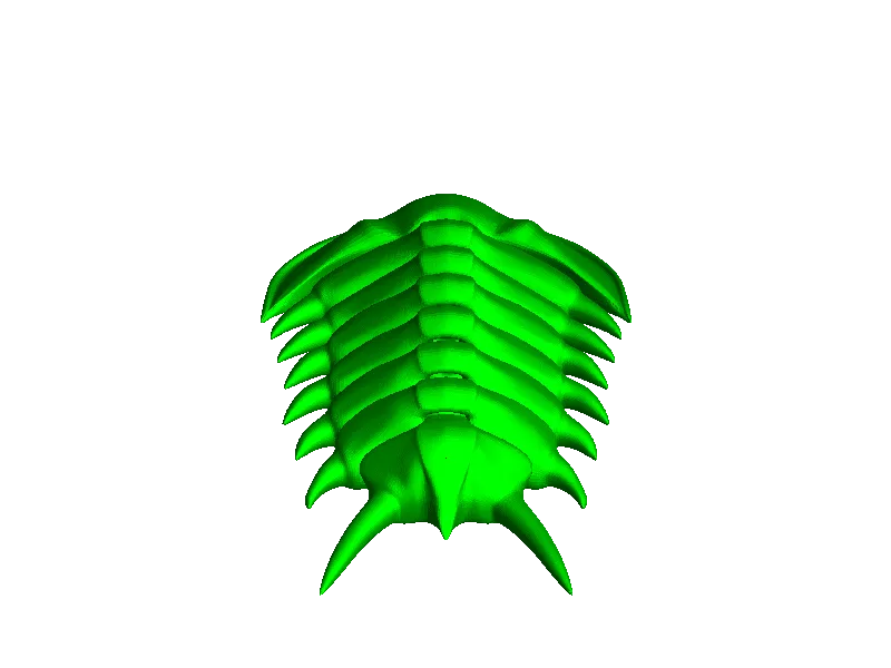 Trilobite articolato