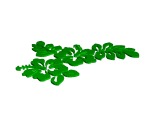 hibiscus 2 D art-0