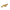Compass_scribe
