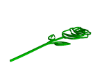 rose-0