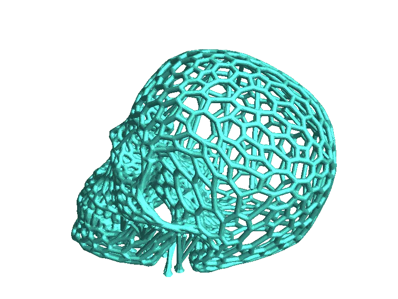 3d koponya