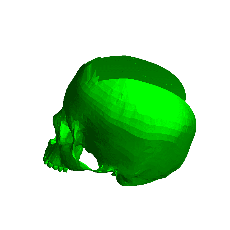 Skull 3d Models Download Creality Cloud 