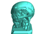 T800-0