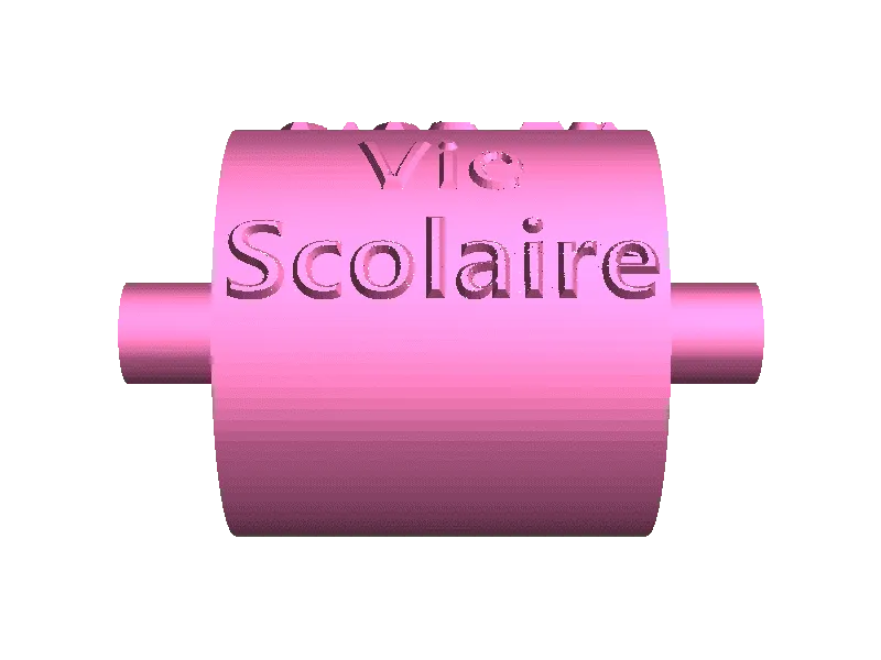 vie sco