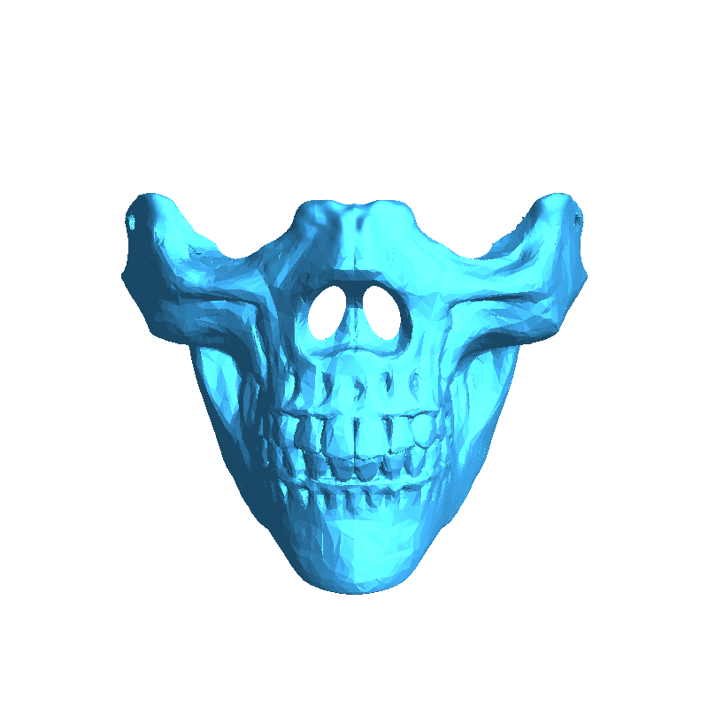 Half Skull Mask