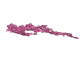 2 D art embody vine-0