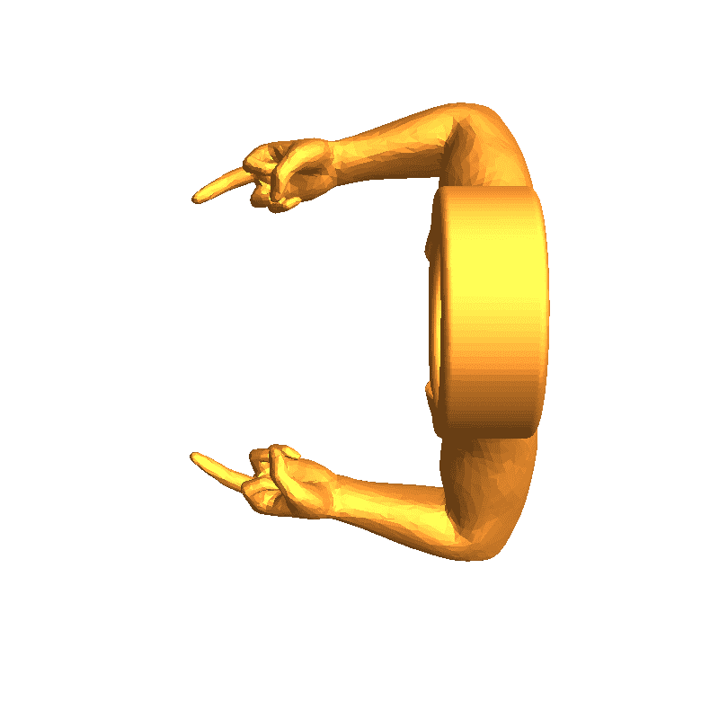 Double Middle Finger Ring