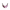 Skull's mandible