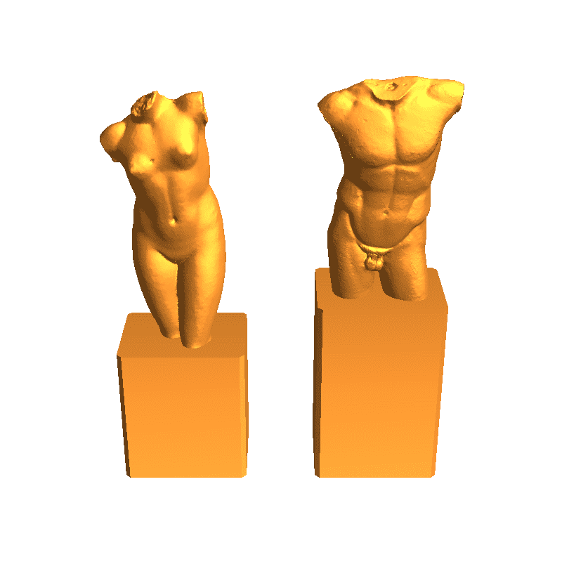 Male torso body