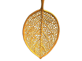 Leaf-0