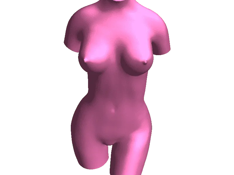 Female torso