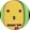 avatar of Qual