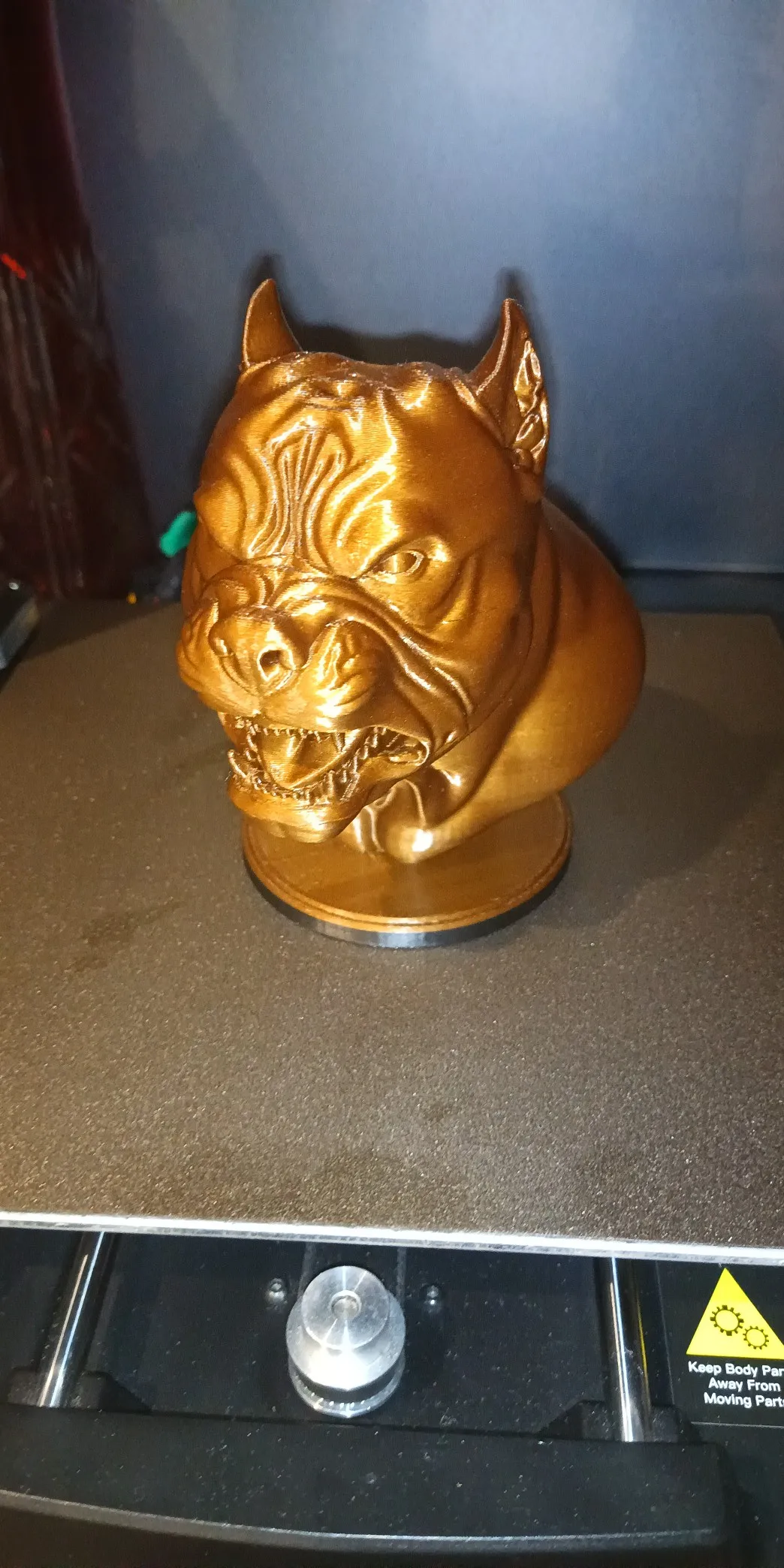 BUST OF furious pitbull-0