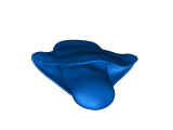 bruni-1