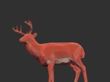 deer-3