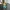 Regana – #19 Horror Blobs Collection