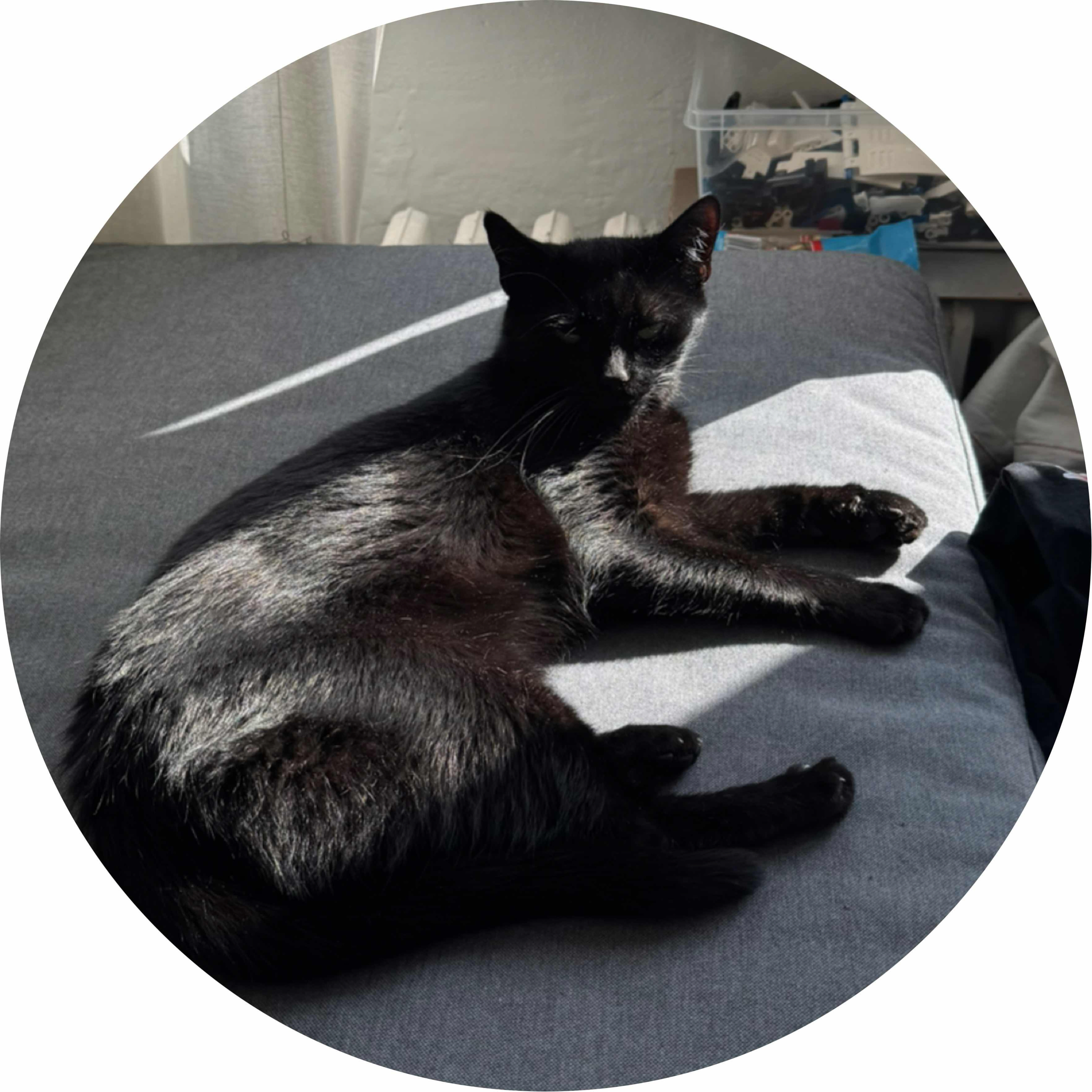 avatar of RobinWasTaken