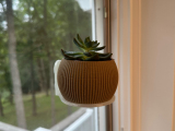 plant window stand-1